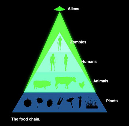food chain diagram. food chain diagram. Chicken Food Chain Diagram.