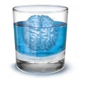 brainfreeze_env1_hr