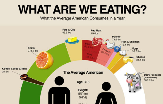 Why American Are Fat 46