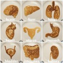 organ-pancakes