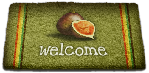 Welcome to Foodiggity