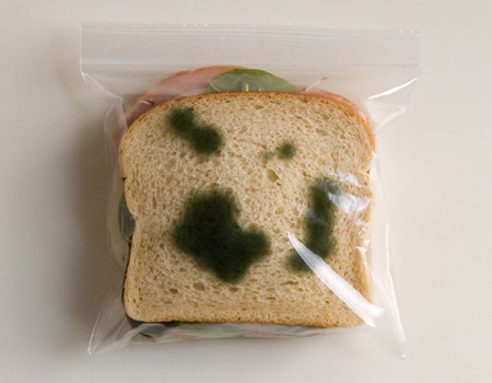 Anti-Theft Sandwich Bags