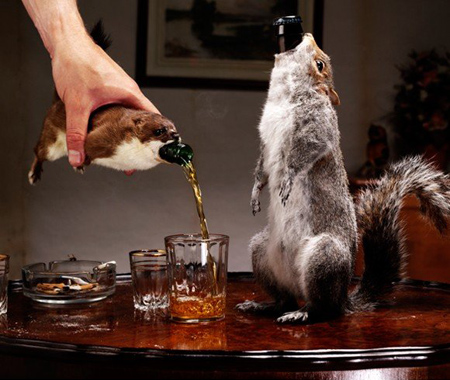 The World’s Strongest Beer, Served in a Dead Squirrel