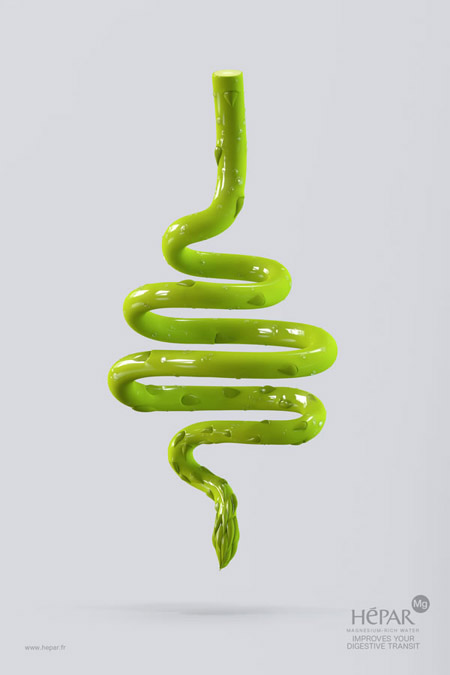 hepar_asparagus