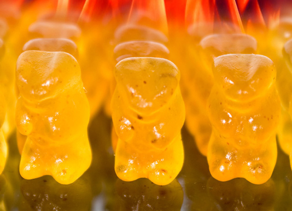evil-hot-gummi-bears