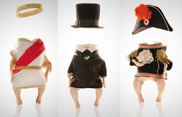 historical-chickens