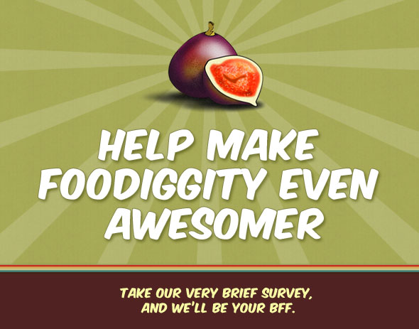 Help Make Foodiggity Even Awesomer