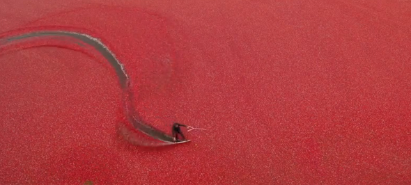 cranberry-wakeboarding