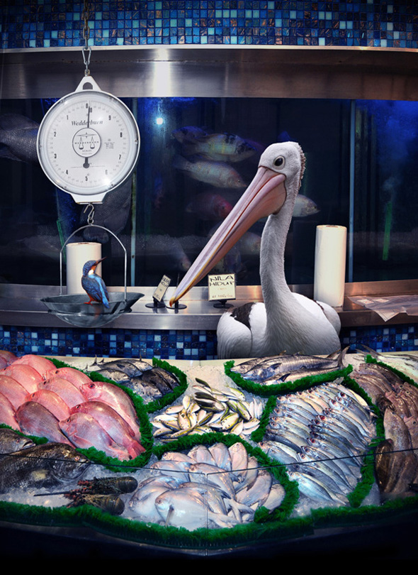 825a9a71ef2a872f30c73623af81fbed