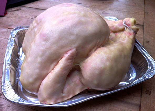 caketurkey