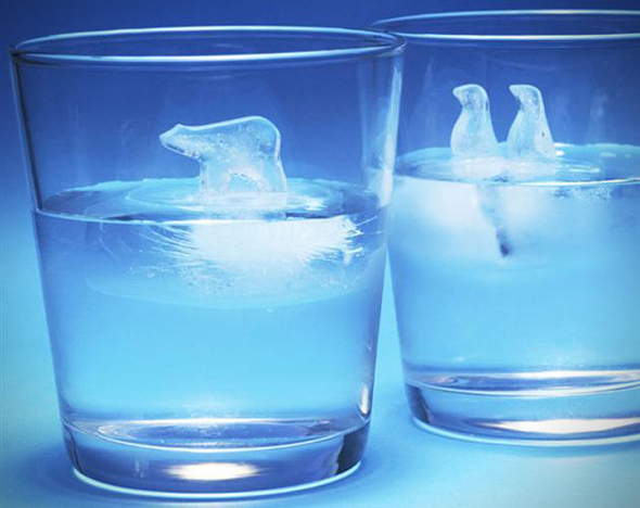 Global-Warming-Polar-Ice-Cube-Molds-1