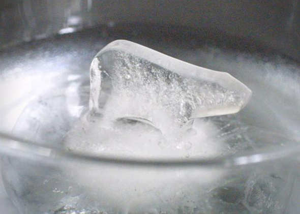 Global-Warming-Polar-Ice-Cube-Molds-3
