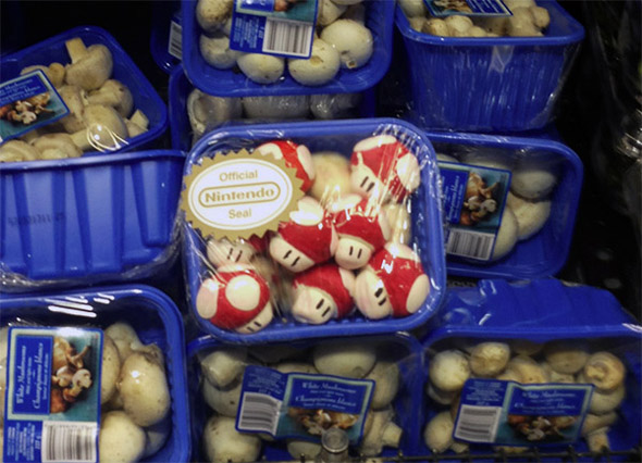 nintendo-mushrooms-real-1