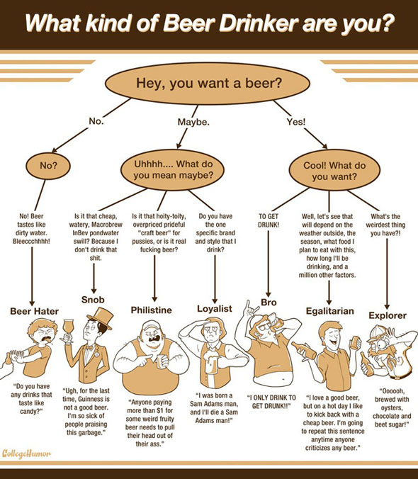 what-kind-of-beer-drinker-are-you