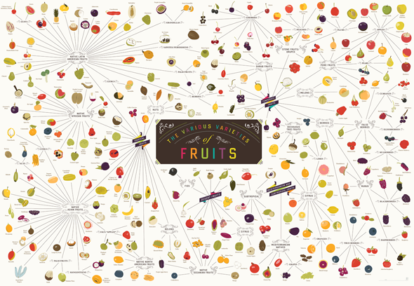 varieties-of-fruits-main