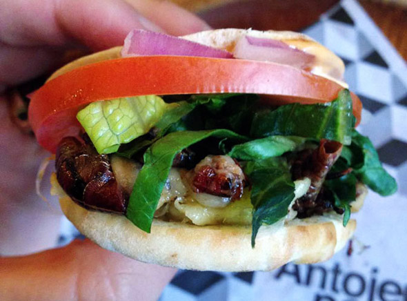 Grasshopper Slider.jpg
