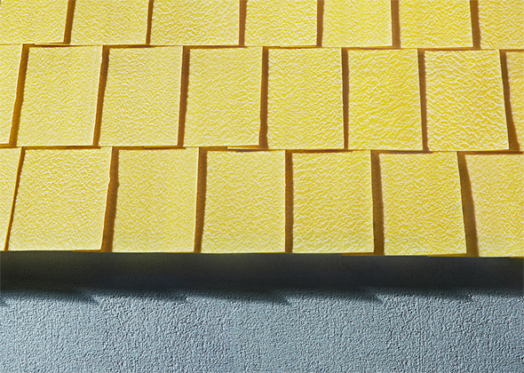 f5096340b27d34e6bf0a89b426337688096c63d3