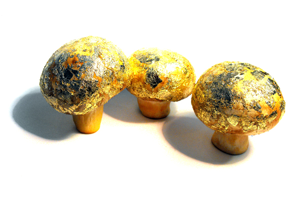 20140113190211-goldmush1