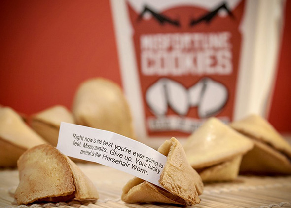 Misfortune-Cookies-1