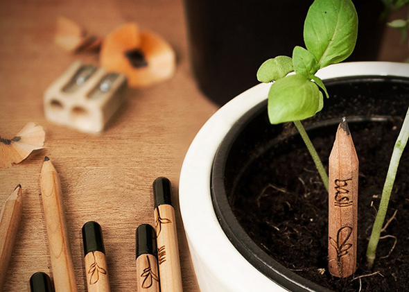 Sprout-Pencils-Plant-Your-Pencil-0