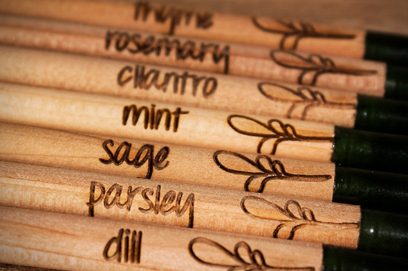 Sprout-Pencils-Plant-Your-Pencil-3