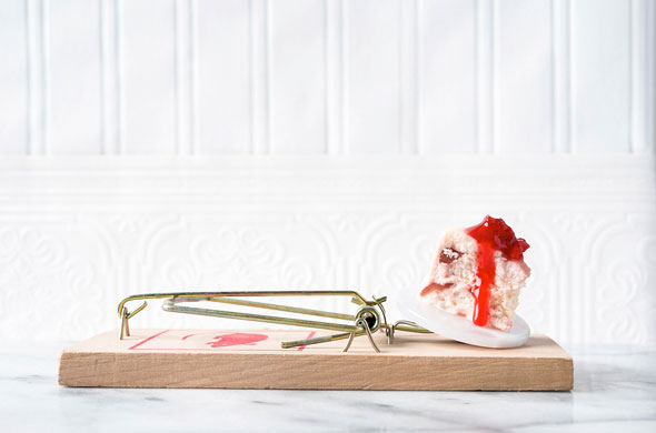 gourmet-mouse-traps-5