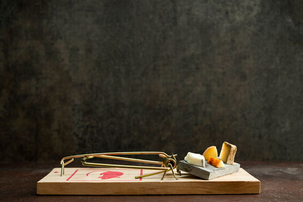 gourmet-mouse-traps