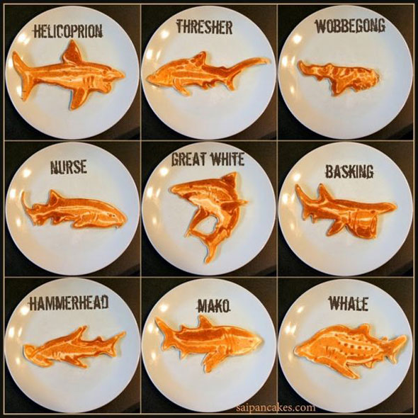 shark-pancakes