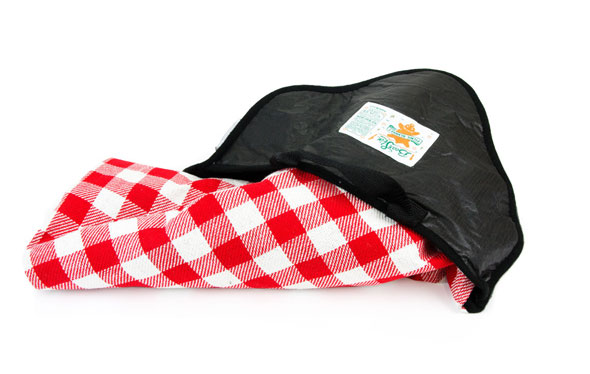 bear-skin-picnic-blanket-2