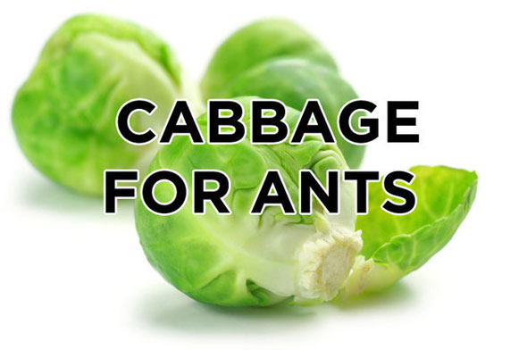 enhanced-7669-1403638256-2