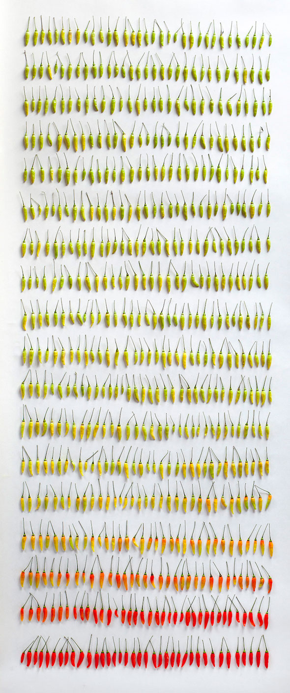 thingsorganizedneatly8