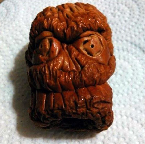Apple-Shrunken-Head-Version-5