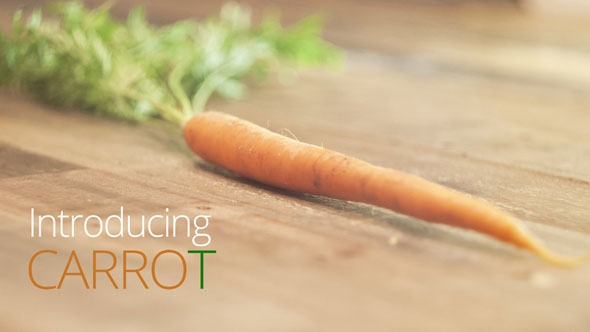 carrot