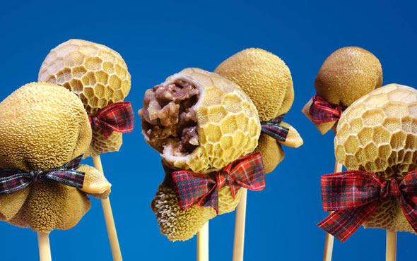 haggis-pops