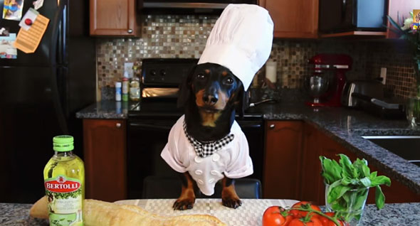 bruschetta-dog