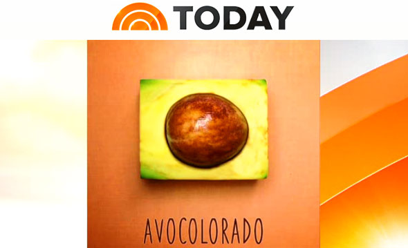 Foodiggity’s Foodnited States On The Today Show