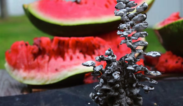 watermelon-scuplture