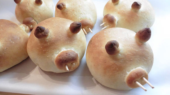 cinnabacon-piglets-4