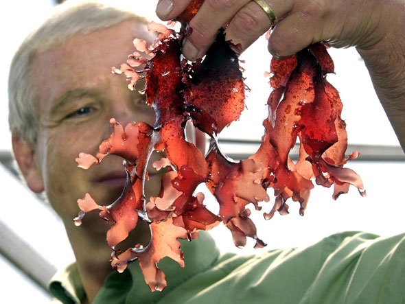 photo: AP Images