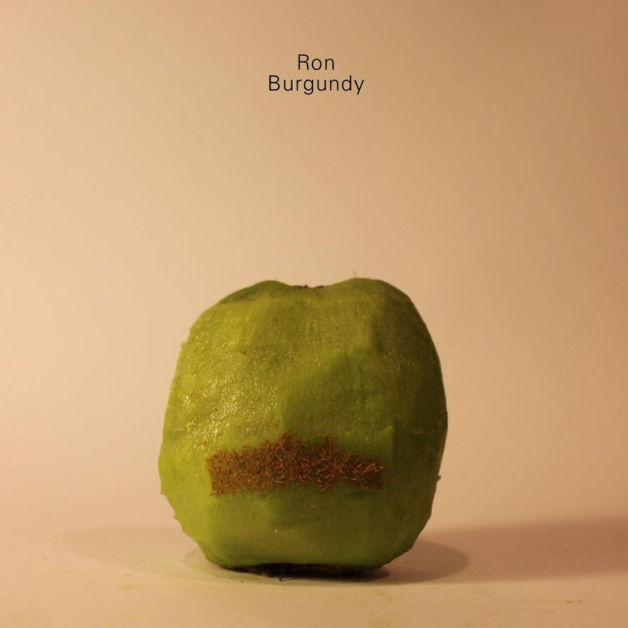 I-revealed-the-secret-identity-of-scheming-Kiwi-Fruits18__880