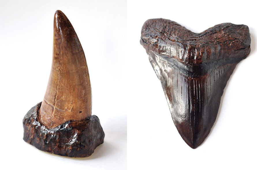 Chocolate-T-Rex-tooth-header