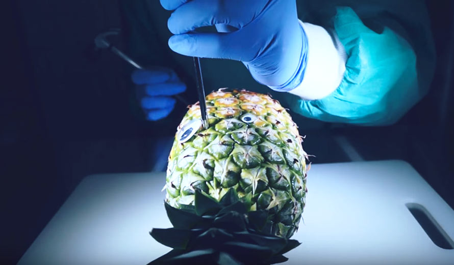 pineapple-lobotomy