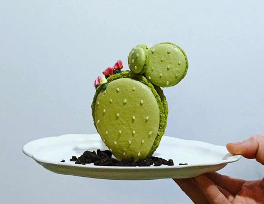 macaron-cactus