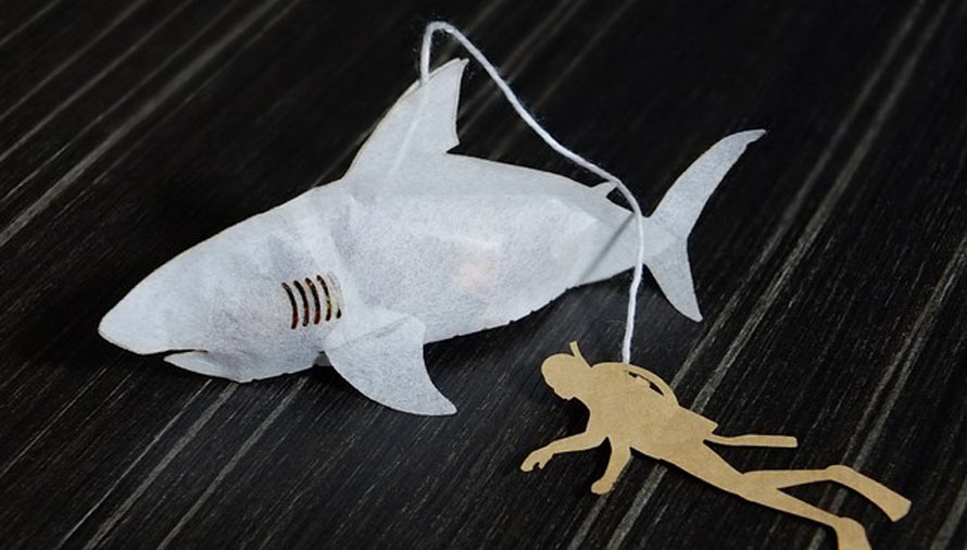 shark-tea-2