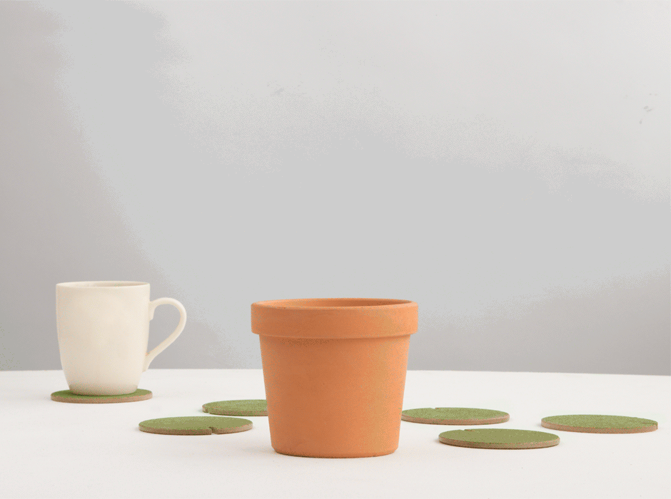 58097_cactus-alltogether-01-animation