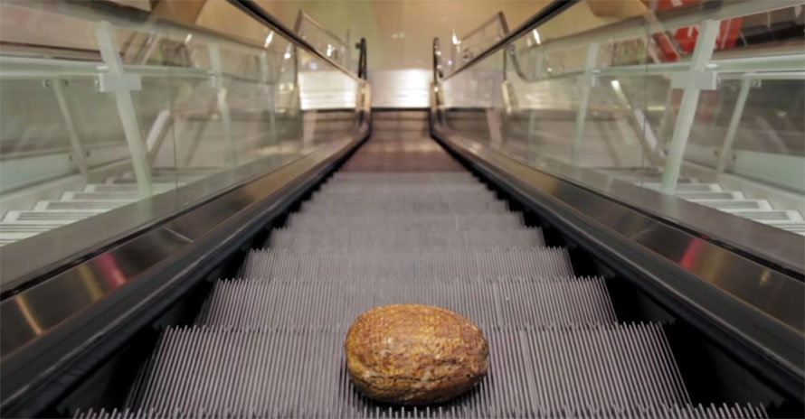 escalator-ham