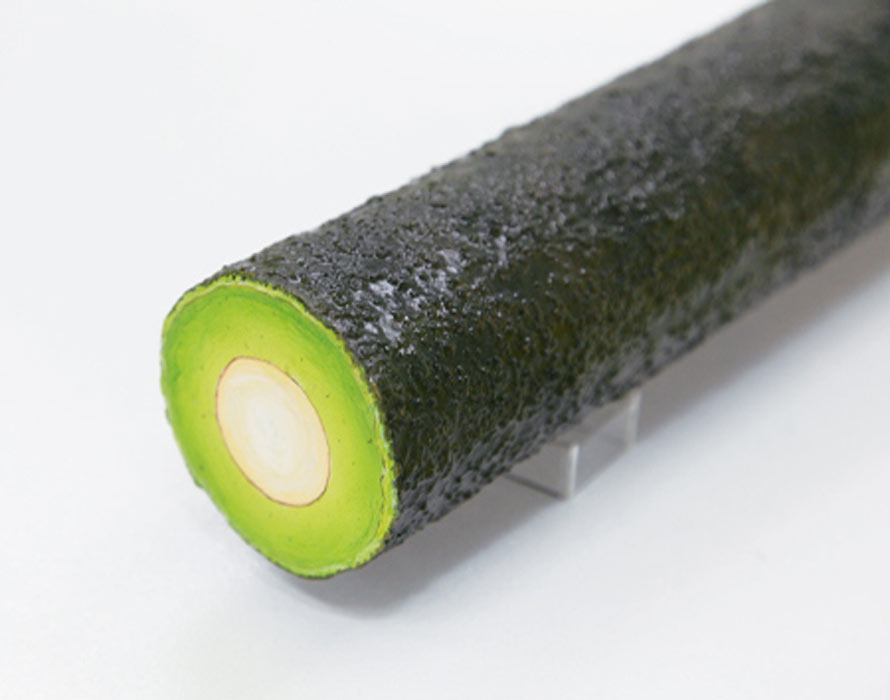 cylindrical-fruit-2