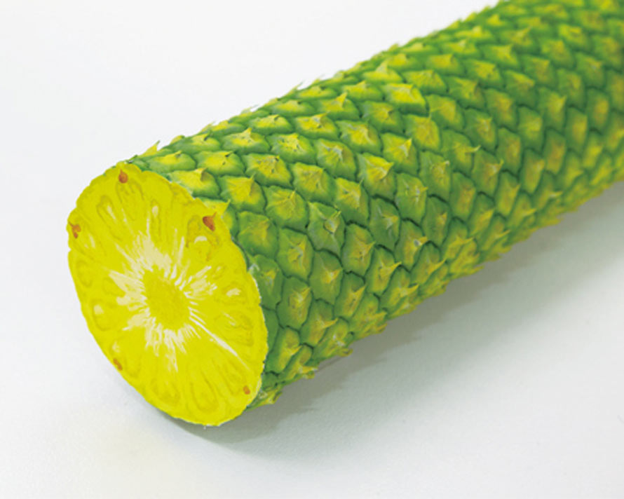 cylindrical-fruit-3