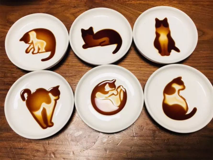 cat soy sauce dish
